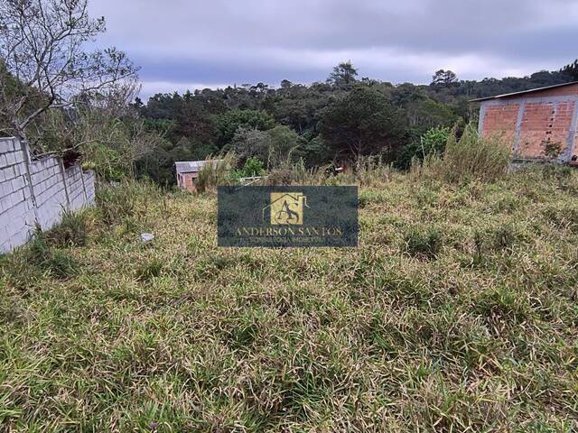 Área para Venda em Cotia - 4