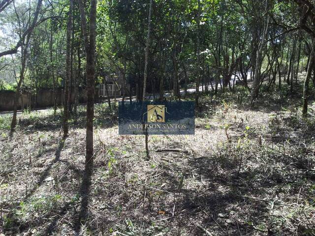  para  em  - 5